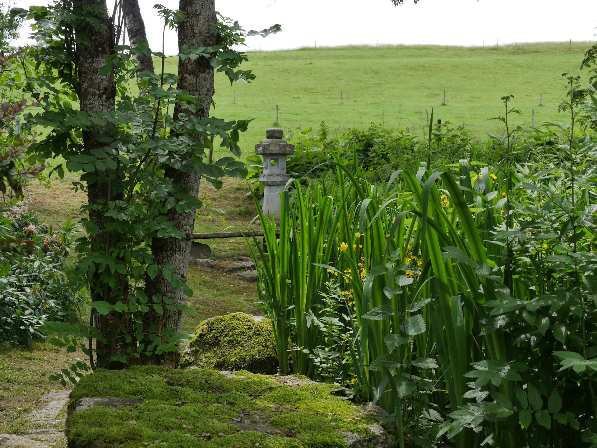 zen zazen meditation johanneshof hotzenhaus dharma sangha baker roshi